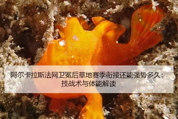 阿尔卡拉斯法网卫冕后草地赛季衔接还能强势多久：技战术与体能解读