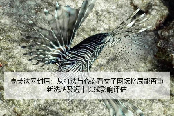 gao-fu-fa-wang-feng-hou-cong-da-fa-yu-xin-tai-kan-nv-zi-wang-tan-ge-ju-neng-fou-chong-xin-xi-pai-ji-duan-zhong-chang-2-636.jpg