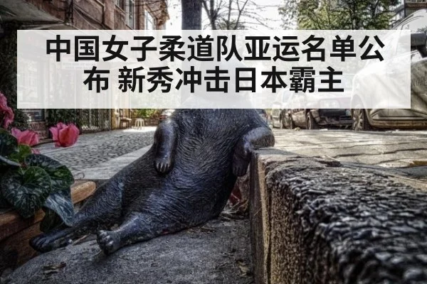 中国女子柔道队亚运名单公布 新秀冲击日本霸主